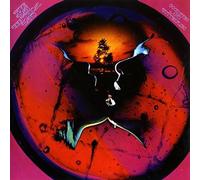 Five Man Electrical Band - Good-Bye & Butterflies: Limited