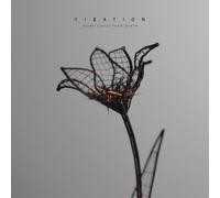 Fixation More Subtle Than Death (Vinyl LP) 12" Album (Clear vinyl)