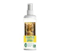 Fixative Spray - 120ml Smudge Proof Quick Drying Art Setting Spray Paint Primer | Drawing Fixative For Pencil Painting Crafts Acrylic Gouache Charcoal Oil Artwork Protection Clear Coating Finish