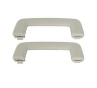 FIXCOR Per Ford Per Ranger T6 / T7 Maniglia Di Sicurezza Per Tetto Bracciolo A Soffitto Corrimano Maniglia Di Trazione Per Tetto AB3Z-61-31406AA (1 Pairs)