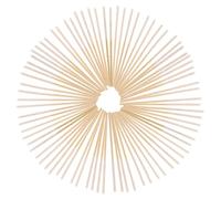 FIXOSHEE 150 pezzi Cotton Swabs Lunghi per e Pulizia Orecchie Bastoncini Spessi e Resistenti per Domestico e Salone