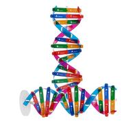 FIXOSHEE 2 pezzi Kit Didattico Scientifico Dna Doppia Spirale per Gioco Educativo DIY Molecolare Geni Umani Resistente e Autoassemblante