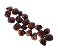 FIXOSHEE 20 Castagne Finte Decorazioni Realistiche per Cucina e Tavola Modelli Noci Artificiale per Esposizione Casa e Fotografia Facili da Pulire e Conservare