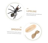 FIXOSHEE Kit Ciclo Vita Formica Nero Gioco Educativo per Cognizione Biologica Ecologica Realistico e Facile da Pulire Prank e Didattico