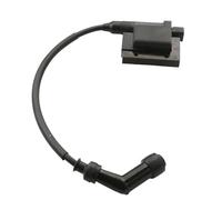 FIYFIOW per Kymco per UXV450 per UXV 450i per UTV Bobina di Accensione Moto 3051A-ALE8-E00 Bobina di Accensione
