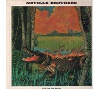 FIYO ON THE BAYOU LP (VINYL) UK DEMON 1986 (Katalog-Nummer: FIEND65)