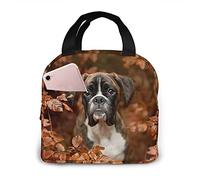 FJAUOQ Boxer, borsa per il pranzo portatile, riutilizzabile, isolata