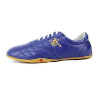 FJJLOVE Scarpe Taekwondo Resistenti all'Usura, Scarpe da Boxe da Karate Antiscivolo Kung Fu Tai Chi Sneakers per Uomo Donna Bambini Bambini Adolescenti Adulti,Blu,37 EU