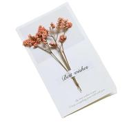 FJOADNVM Biglietto Auguri Matrimonio 10 pezzi/confezione biglietti di auguri creativi fatti a mano con fiori secchi, pieghevoli for studenti, set scritti a benedizioni(Color 08)