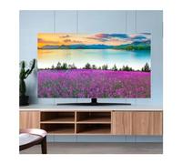 FJOADNVM Copertina Per TV Copertura TV Panno antipolvere 32-70 pollici curva da tavolo appendere for uso domestico di universale(05,49-52inch 118x70cm)