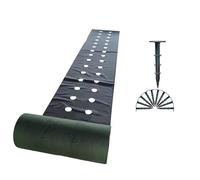 FJOADNVM Telo Anti Erbacce Panno Perforato Resistente all'erba, Inclusi 10 Chiodi a Terra, Adatto for la Pellicola di Copertura del Paesaggio Giardino
