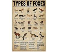 FJQWKLF Cartello in metallo con scritta Volpi e Tipi di volpi, poster retrò, scuola, zoo, caffè, camera da letto, bagno, cucina, casa, decorazione da parete, 12x16 pollici