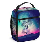FJQWKLF Galaxy Lunch Box per uomini donne adulti piccola borsa per il pranzo per ufficio lavoro picnic -Lonely Tree Aurora, portapranzo portatile riutilizzabile rosa blu
