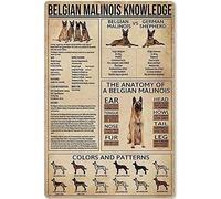 FJQWKLF Setter inglese Conoscenza Poster vintage, Setter inglese Retro Wall Art Room Office Dorm Wall Decor 12x8 pollici