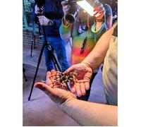 FKA Servizio fotografico a Terra ZOO 21.02.2026