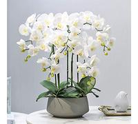FKJLUN, Artificiale piantina Finta con Vaso Orchidea artificiale con vaso PU Phalaenopsis Fiori artificiali in vaso Centerpieces for Sala da pranzo Tavolo, Soggiorno Decor Artificiali