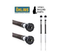 FKS 209 CARTUCCIA OHLINS NIX 22 + MOLLE KAWASAKI ER-6F 2012 2016