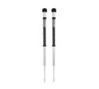 FKS206 - Cartucce Ohlins NIX22 Harley-Davidson Sportster