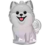 FkYstrix Small Dog Fur Keepsake Keychain Capsule Pendant Transparent Dog Hair Storage Container Key Chain Pet Memorial Gifts for Loss of Dog(1Pc, Pomeranian)
