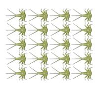 FLA Bassa 20 Pezzi - Kit Realistico Di Legatura La Mosca Maggio | Esca Salmone Trota Legata A Mano, Componenti del Corpo Ninfe, Assortimento Esca Morbida per Amanti Ruscello Lago Acqua