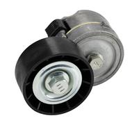 Flachriemenspannrolle Con Braccio di Serraggio 46524692