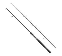 FLADEN Charter - Canna da pesca spinning in 2 pezzi, leggera e verstile, la gamma di canne da pesca spinning e da pesca con esche, peso di lancio: 5-20 g, 10-30 g, 20-40 g e 25-60 g (2,4 m/20-40 g cw)