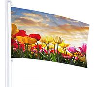 Flag 3x5 FT Floral Field at Sunset Cloud Pink Yellow Flower Green Leaves Outdoor Flags Large Welcome Yard Banners Home Garden Yard Lawn Decor