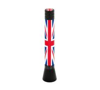 STELO ANTENNA RADIO FM AUTORADIO UK 8CM CORTA MICRO PER AUTO AUDI FIAT LANCIA