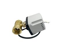 FLAGPVPAGT Valvola a sfera motorizzata On/Off da 3/4" 1" 1-1/2" 3s 220V 12V 24V Valvole a elettriche normalmente chiuse(2",220VAC_NORMALLY CLOSED)
