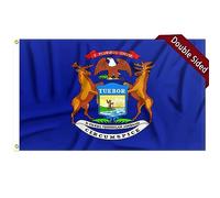 FLAGWIN Bandiera del Michigan 9,5 x 1,5 m