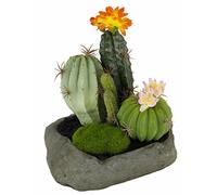Flair Cactus Flower 088887or in Pietra, plastica, Arancione, 19 x 15 x 14 cm