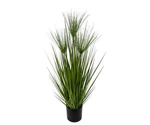 Flair Flower Cipro Erba in Vaso, plastica, Verde, 75 x 25 x 25 cm