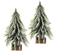 Flair Flower - Mini Albero di Natale Artificiale su Base in Legno, Effetto Neve, Neve, Albero di Natale, Decorazione Natalizia, Set da 2 Pezzi, Verde/Bianco, 15 x 15 x 25 cm