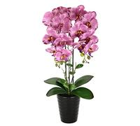 Flair Flower Orchidea artificiale, 58 cm, in vaso, orchidea artificiale, ideale come decorazione per matrimoni e matrimoni