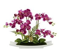 Flair Flower - Orchidea Artificiale in Ciotola in Ceramica, Fiori Artificiali, phalaenopsis con Vaso per Piante Artificiali, Colore: Rosa., 50x55x14 cm
