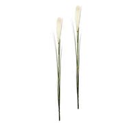 Flair Flower Pampa Erba, Set da Pezzi, Poliestere, Plastica, Bianco, 6 x 6 x 125 cm, 2 unità