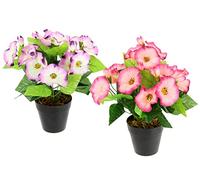 Flair Flower Petunia artificiale, pianta ornamentale, campanula, pianta artificiale, piccola pianta d'appartamento, fiori artificiali, fiori di seta, decorazione finte, pianta in vaso