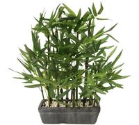 Flair Flower Pietre Decorative in bambù Erba di Limone, Artificiale, Verdi, Vaso, pianta da Interni, Verde, 41 cm