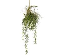 Flair Flower Tillandsia - Fioriera sospesa su ramo, muschio artificiale, pianta verde, pianta artificiale, pianta d'appartamento, fiori di seta, decorazione islandese, muschio artificiale