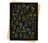 Flame Tree Studio Anna Stead: A Medieval Herbal Greeting Card Pack (Cards)