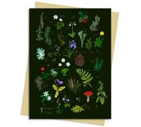 Flame Tree Studio Anna Stead Forest Floor Greeting Card Pack (Cards)