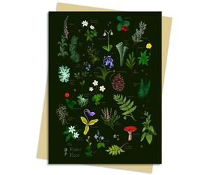 Flame Tree Studio Anna Stead Forest Floor Greeting Card Pack (Cards)