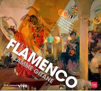 Flamenco L'ame Andalouse (CD) Album