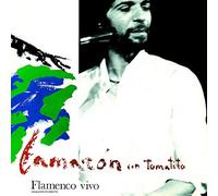 flamenco vivo