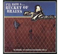 Flamin' Groovies - A Bucket Of Brains