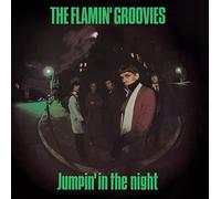 Flamin' Groovies - Jumpin' In The Night
