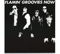 Flamin' Groovies Now (CD)