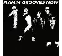 Flamin' Groovies Now (Vinyl LP)