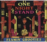 Flamin Groovies - One Night Stand