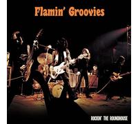 Flamin' Groovies - Rockin' the Roundhouse (Orange)